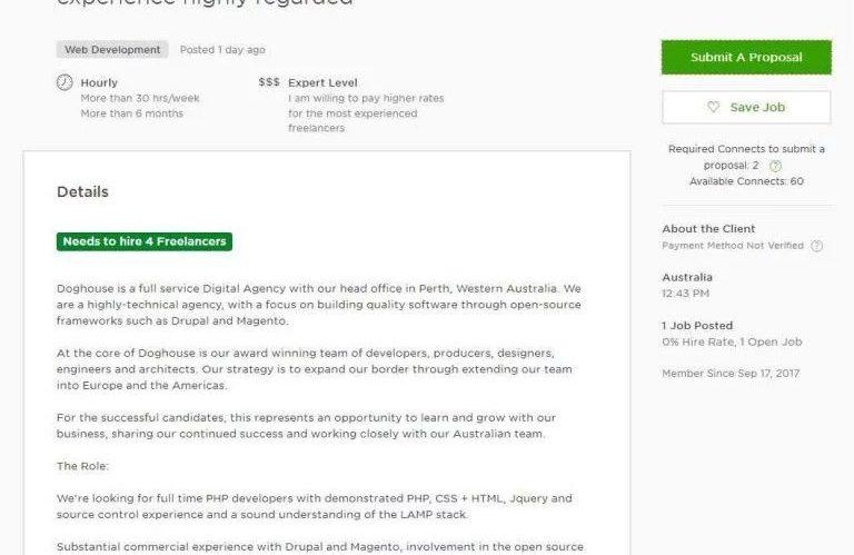 How to Write a Web Development Proposal for Upwork?